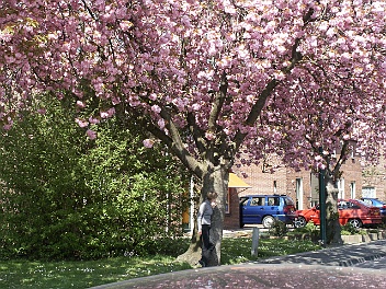 20030420 Kasteel Loevenstein