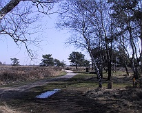 IMG_0089