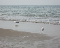 IMG_1051