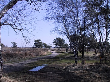 20050402 dagje limburg