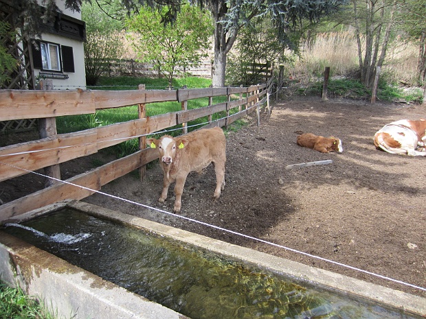 20120430 Oostenrijk Seeboden