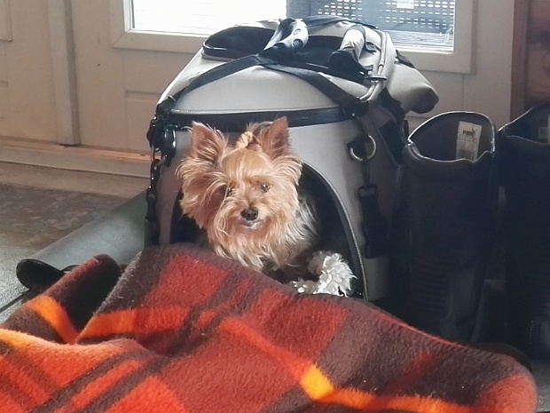 20170801 Nederland twente Weekje naar Drenthe, huisje de pimpelmees. Katja reserveerde standaard de tas, Hanneke was met de auto en honden, ik met...