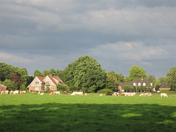 20170801 Nederland twente Weekje naar Drenthe, huisje de pimpelmees. Katja reserveerde standaard de tas, Hanneke was met de auto en honden, ik met...